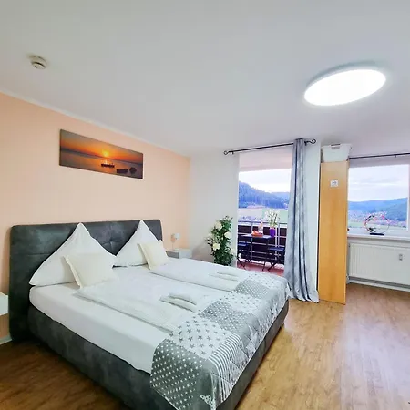 Mit Pool In Apartment Baiersbronn