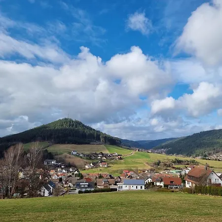 Mit Pool In Baiersbronn