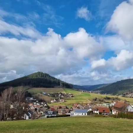 Mit Pool In * Baiersbronn