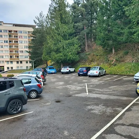 Mit Pool In * Baiersbronn