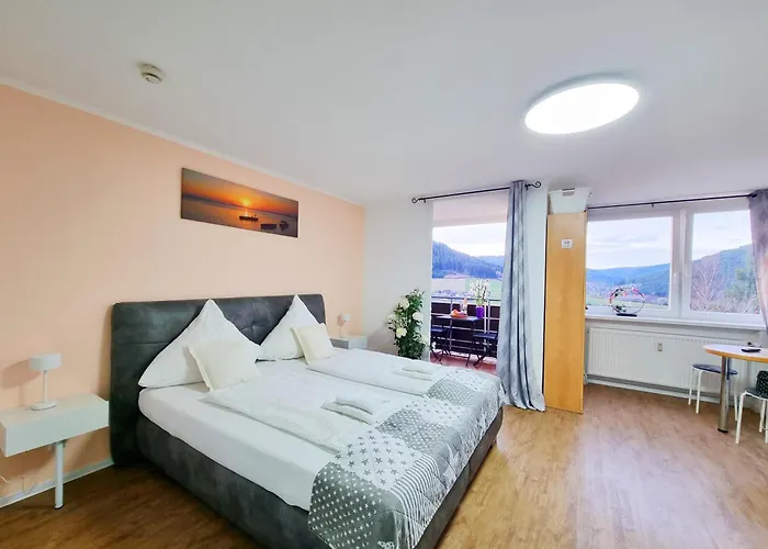 Mit Pool In Appartement Baiersbronn